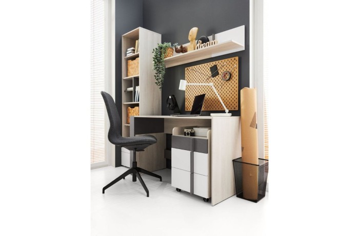 Funktionaler Schreibtisch mit Rollcontainer und Wandregal für ein geordnetes Jugendzimmer.
