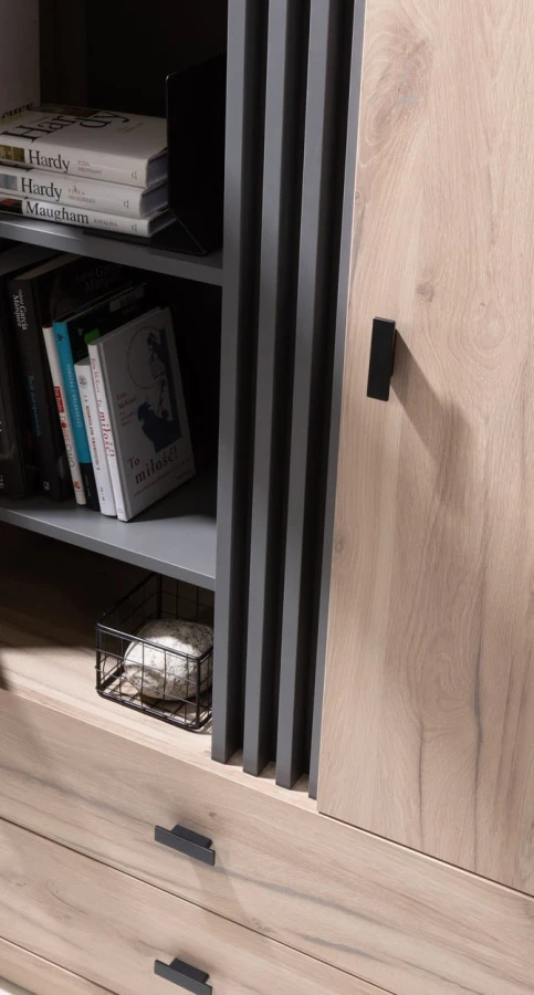 Nahaufnahme eines Schranks mit Lamellen-Design in Anthrazit und heller Holzmaserung.