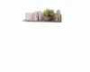 Wall shelf decorated with children's books and a small plant.