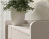 Detailansicht einer GEORGIA Kommode in Beige mit Zimmerpflanze und abgerundeten Kanten.