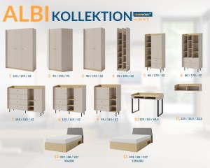 ALBI 12 90x200 Jugendbett Deine Möbel