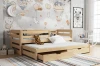 Eingerichtetes Kinderzimmer mit ausziehbarem Holzbett und kindgerechter Wanddekoration.