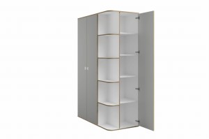 PAXO Kleiderschrank mit Regalen Deine Möbel  