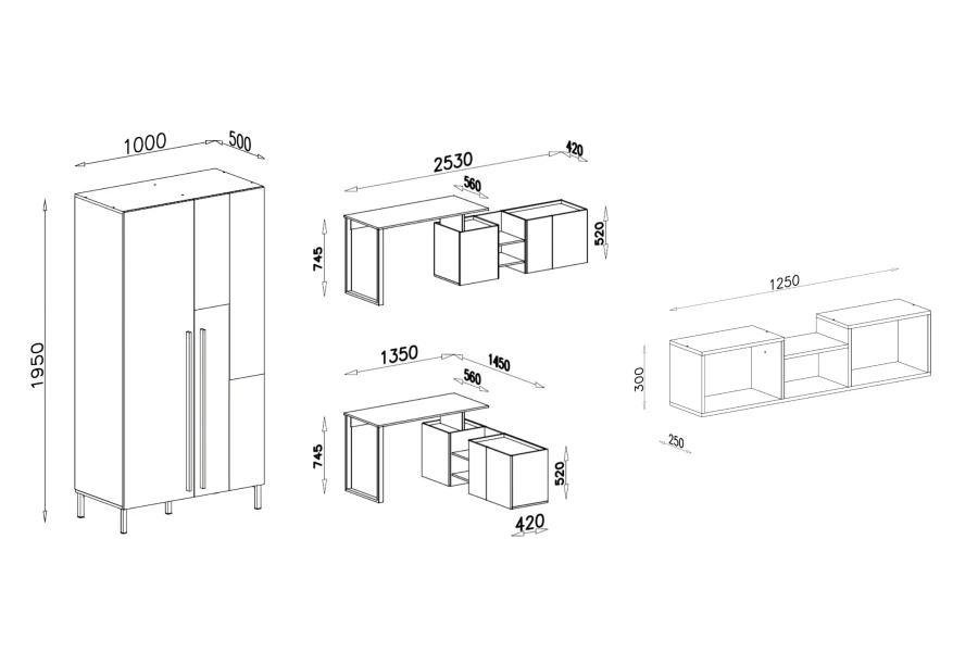 Technische Zeichnung mit Maßen für Kleiderschrank, Schreibtisch und Wandregal.