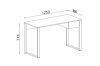 Technical sketch of the desk with dimensions: 1250 mm width and 560 mm depth.