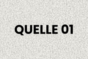 LUVA Polsterbett mit Bettkasten und Lattenrost in Bouclé Deine Möbel  