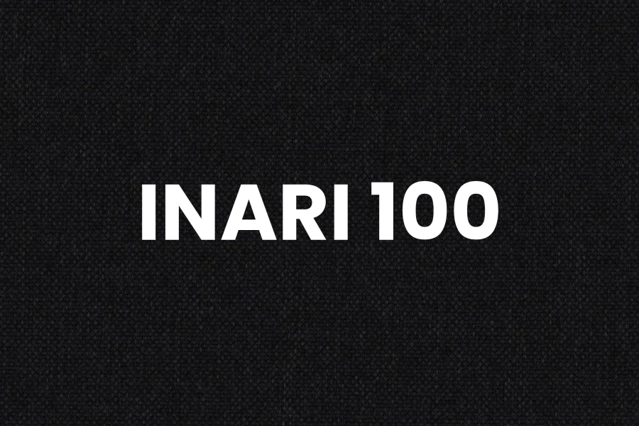 i100 (4).jpg