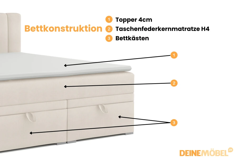 p1 (3).jpg