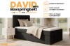 Infografik David Mini Boxspringbett mit Bettkasten und Kaltschaum-Topper.