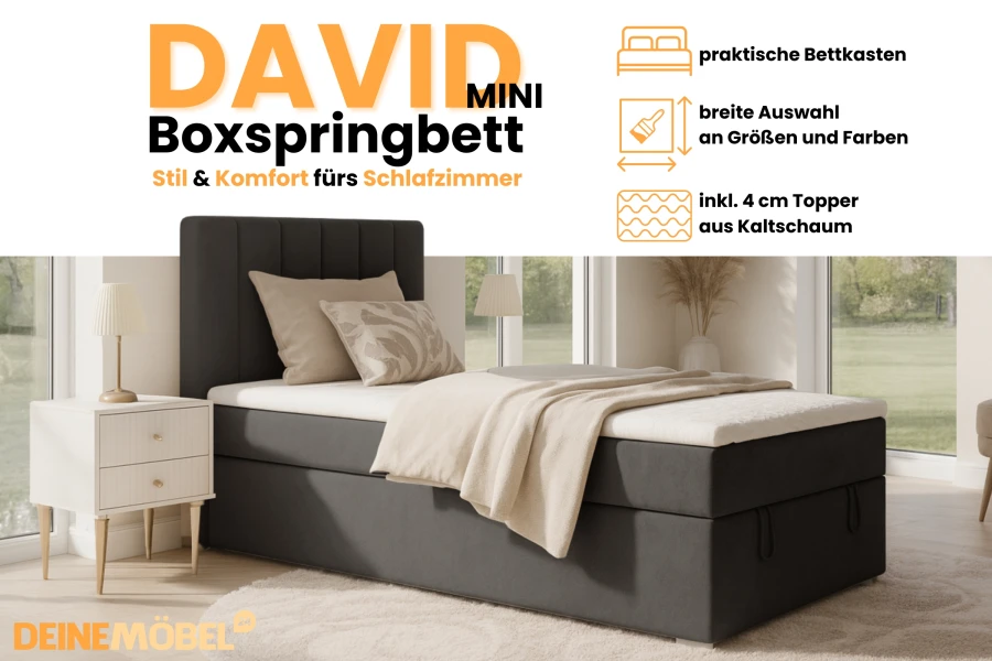 Infografik zum Boxspringbett David Mini mit Details zu Bettkasten und Topper.