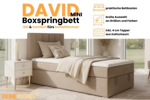 DAVID MINI 120x200 Paros 2 Beige Boxspringbett mit Bettkasten und einer durchgehenden Matratze Deine Möbel