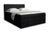 100 (2).jpg
