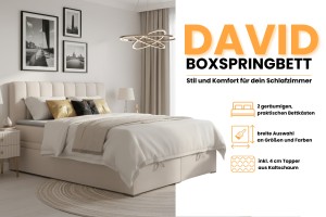 DAVID 200x200 Paros 1 Creme Boxspringbett mit Bettkasten und einer durchgehenden Matratze H4 Deine Möbel  