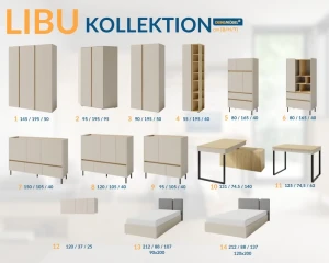 LIBU 10 Schreibtisch Deine Möbel