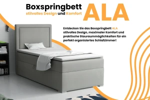ALA Boxspringbett mit Bettkasten Deine Möbel