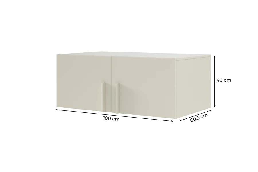 Beiger Wandschrank mit Maßangaben: 100 cm Breite, 40 cm Höhe und 60,5 cm Tiefe.