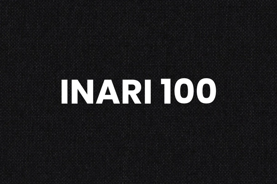 i100 (5).jpg