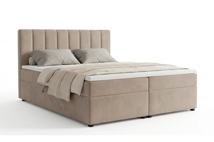 p2 (2).jpg
