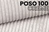 100.jpg
