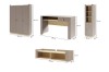SET C-PORCINI-(15+16+12+14) (3).jpg