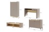 SET D-PORCINI-(1+16+12+6) (3).jpg