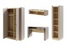 SET E-PORCINI-(1+16+12+2) (2).jpg