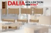 KOLLEKTION-3.jpg